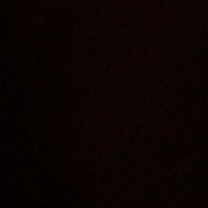 Meet your Posher, Traugott